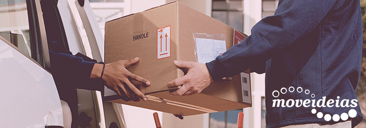 Entenda melhor o que é um sistema de entregas expressas