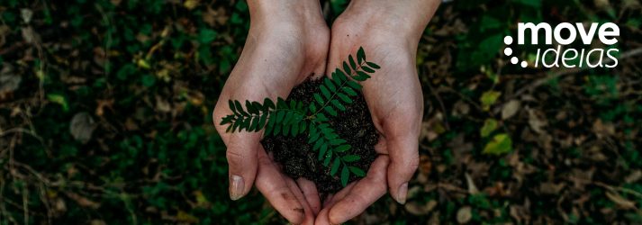 Sabia que a otimização de rotas é logística sustentável?